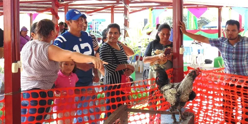 Feria de las gallinas…fue un éxito rotundo Juigalpa