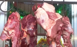 Producción de carne bovina y acopio de leche crece en Nicaragua