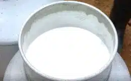 Producción de leche se mantiene estable en Chontales