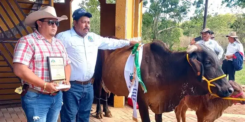 Lenin Álvarez, ganó por tercer año consecutivo el concurso de la Vaca lechera en Nueva Guinea