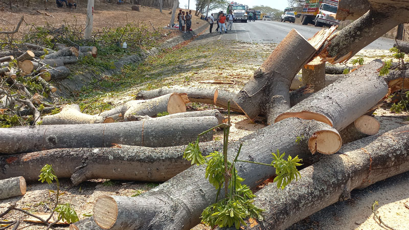 El trabajo de limpieza de la carretera que conduce de Managua a Juigalpa. 