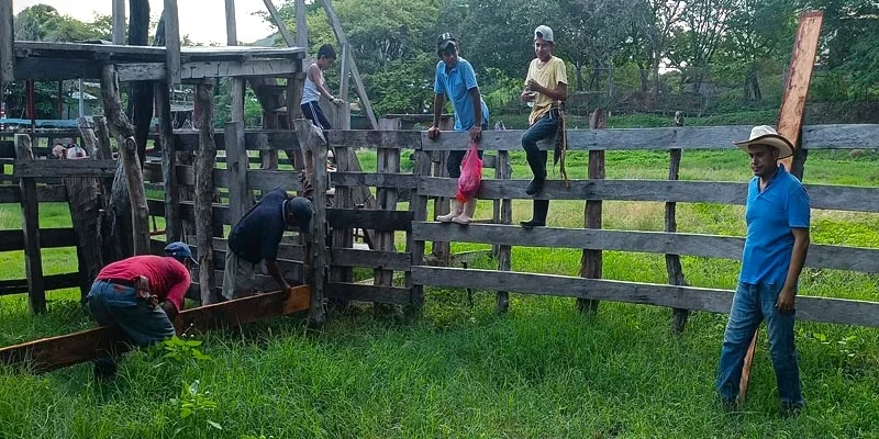 Se alistan para la fiesta tradicional del poblado La Palma