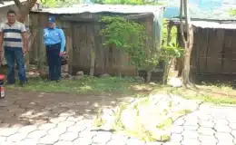 Doña Fátima Gutiérrez, murió frente a su casa después que se bajó de un bus de transporte colectivo