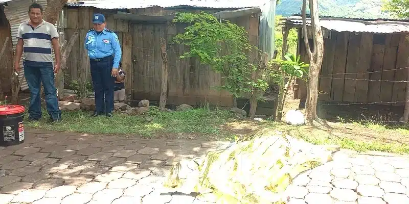 Doña Fátima Gutiérrez, murió frente a su casa después que se bajó de un bus de transporte colectivo