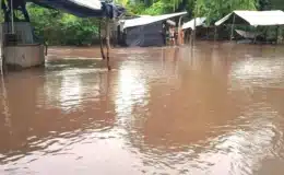 Se reportan 100 casas anegadas en diferentes comunidades de San Lorenzo-Boaco