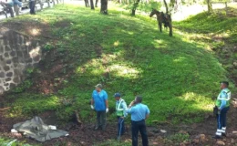 Jinete se desprendió de su caballo y murió al fondo del puente Venecia