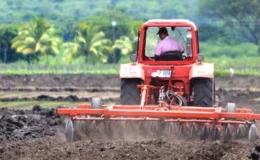 Agricultores con buenas intenciones de siembra para el ciclo de primera