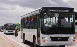Con la llegada de 250 buses chino, el gobierno sigue mejorando el sistema de transporte público