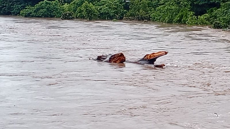 Rio Mayales crecido-sector de Panmuca Juigalpa. 