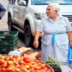 El tomate mantiene su valor, mientras la zanahoria, la chiltoma y el repollo bajaron de precios