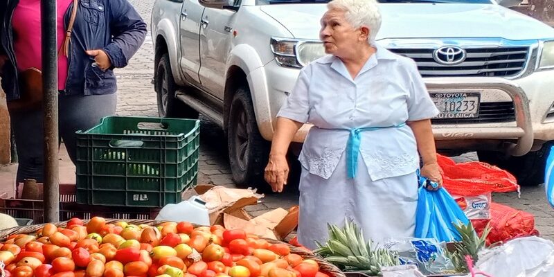 El tomate mantiene su valor, mientras la zanahoria, la chiltoma y el repollo bajaron de precios