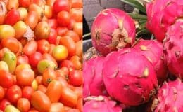 Frutas, verduras y legumbres siguen bajando de precio en el Mercado Central de Juigalpa