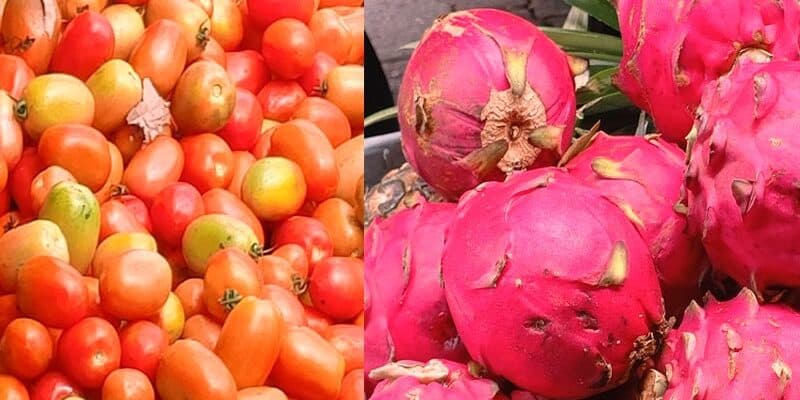 Frutas, verduras y legumbres siguen bajando de precio en el Mercado Central de Juigalpa