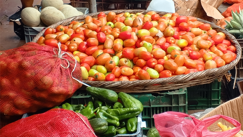 El tomate y otros productos de mayor consumo en el hogar están más baratos. 