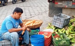 El pepino, chayote, la chiltoma y la lechuga aumentaron de precio en el Mercado de Juigalpa