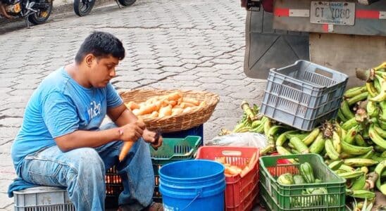 El pepino, chayote, la chiltoma y la lechuga aumentaron de precio en el Mercado de Juigalpa