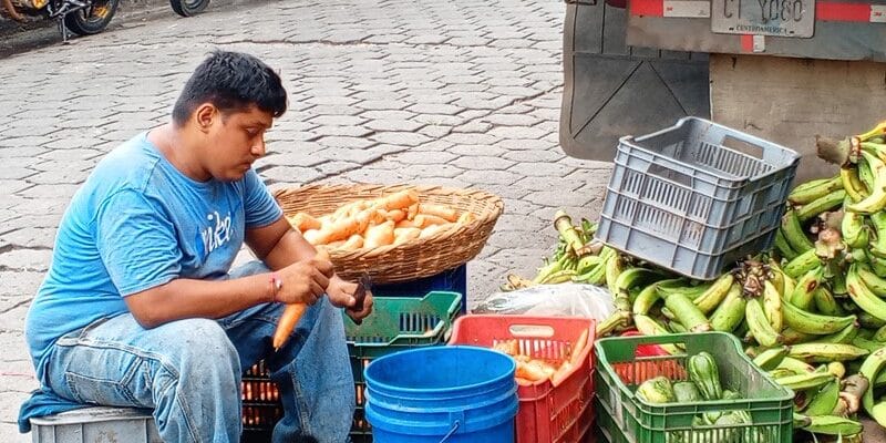 El pepino, chayote, la chiltoma y la lechuga aumentaron de precio en el Mercado de Juigalpa