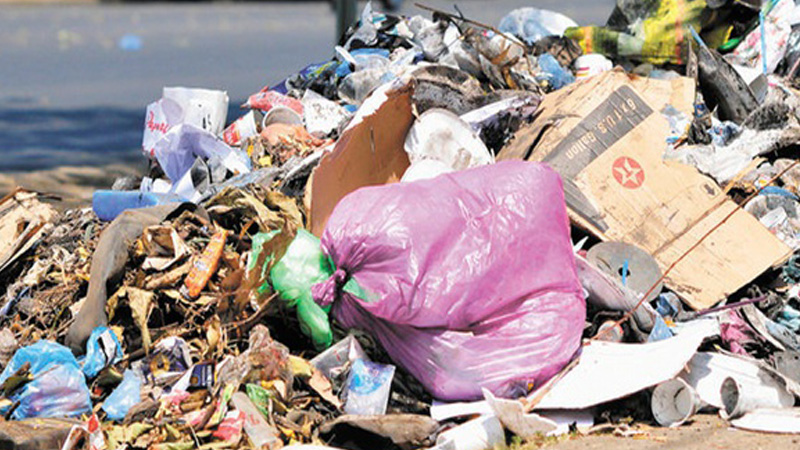 La basura debe depositarse en el lugar autorizado. 