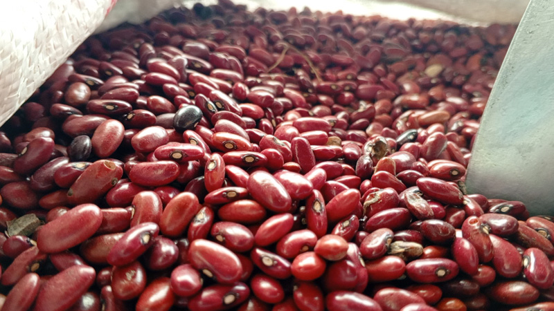 Frijol rojo se compra entre 28 y 30 córtdobas en el Mercado Central de Juigalpa-Foto Punto Noticioso. 