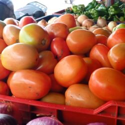 La verdura está cara en el Mercado Central de Juigalpa, mientras los precios de los granos básicos se encuentran estables