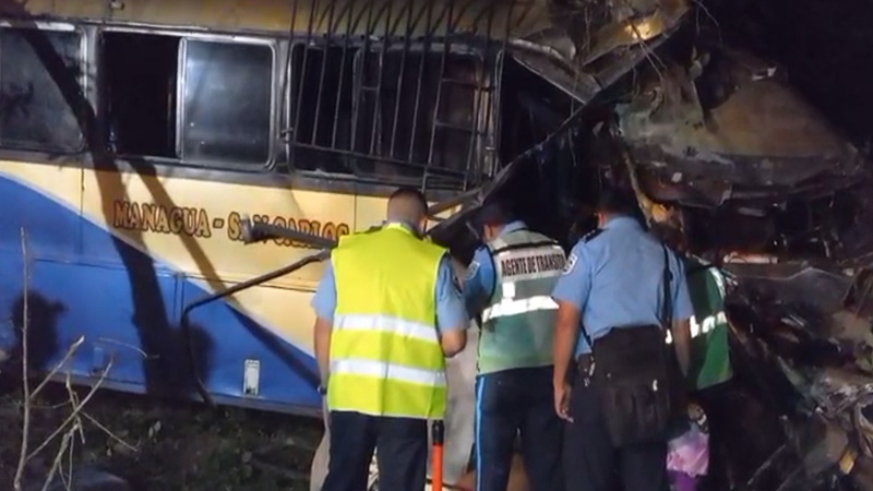 Bus de transporte colectivo se estrelló en un árbol. 