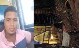 Bus de transporte colectivo se estrelló en un árbol y dejó un muerto y 05 lesionados