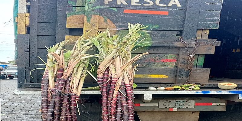 Los productos del tradicional paquete de la purísima ya están a la venta en el Mercado Central de Juigalpa