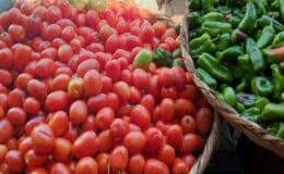 Precios de las verduras y legumbres estables en el Mercado Central de Juigalpa