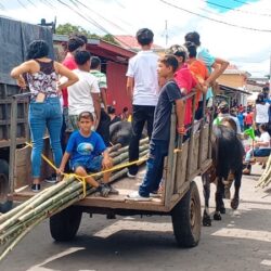 Inició la fiesta tradicional de Acoyapa con la entrada de las cañas