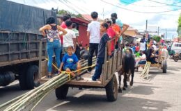 Inició la fiesta tradicional de Acoyapa con la entrada de las cañas