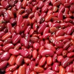 La libra de frijol rojo se acerca a los 40 córdobas en el Mercado de Juigalpa