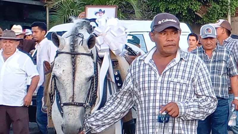 El caballo que montaba en los hípicos el joven Julio César.