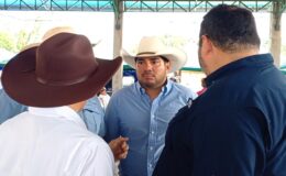 Ingeniero Marcos Umanzor: “Nicaragua lidera en Centroamérica la producción y exportación de carne y lácteos”