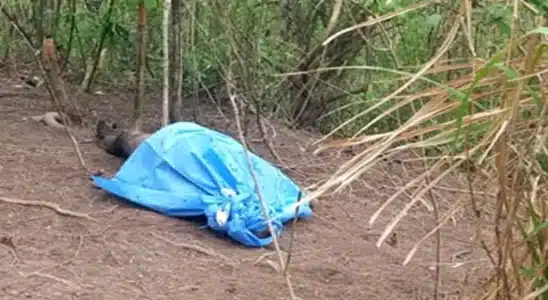 Oficiales de policía hallaron el cuerpo sin vida de un ciudadano en avanzado estado de descomposición