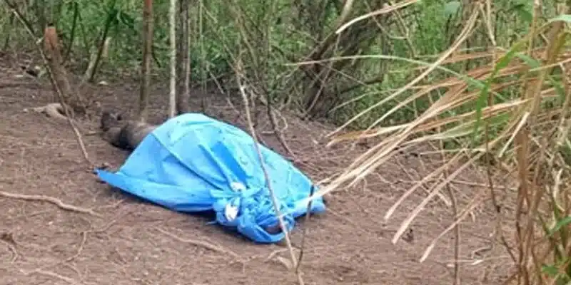 Oficiales de policía hallaron el cuerpo sin vida de un ciudadano en avanzado estado de descomposición