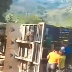 Camión se dio vuelta y dos mujeres perdieron la vida, además, varias personas resultaron lesionadas