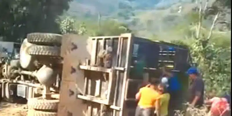 Camión se dio vuelta y dos mujeres perdieron la vida, además, varias personas resultaron lesionadas