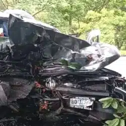 Dos personas perdieron la vida al estrellarse la camioneta en que viajaban contra un árbol de Chilamate