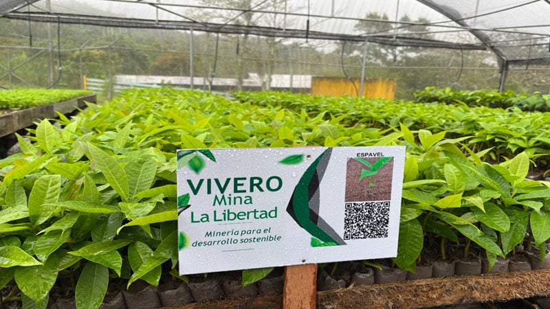 Vivero inaugurado en La Libertad-Chontales.