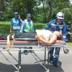 Bolo intentó cruzarse la carretera Santos Martínez y un bus de transporte colectivo lo atropelló