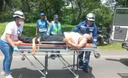 Bolo intentó cruzarse la carretera Santos Martínez y un bus de transporte colectivo lo atropelló