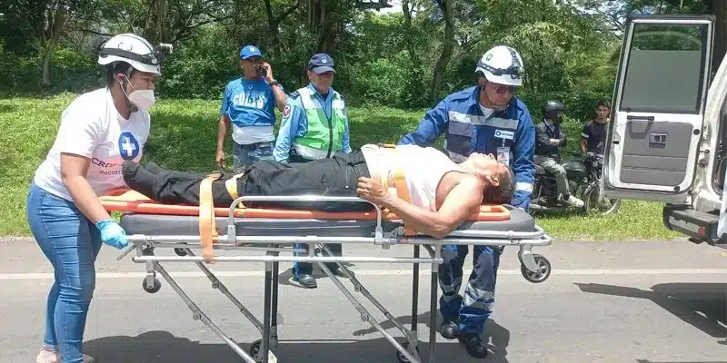 Bolo intentó cruzarse la carretera Santos Martínez y un bus de transporte colectivo lo atropelló