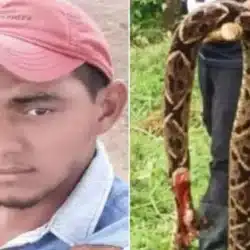 El joven Silvio Tórrez, murió horas después de ser atacado por una serpiente barba amarilla
