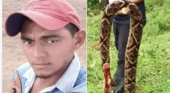 El joven Silvio Tórrez, murió horas después de ser atacado por una serpiente barba amarilla