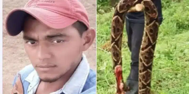 El joven Silvio Tórrez, murió horas después de ser atacado por una serpiente barba amarilla
