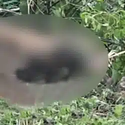 Encuentran osamenta humana en cerro la Bujona