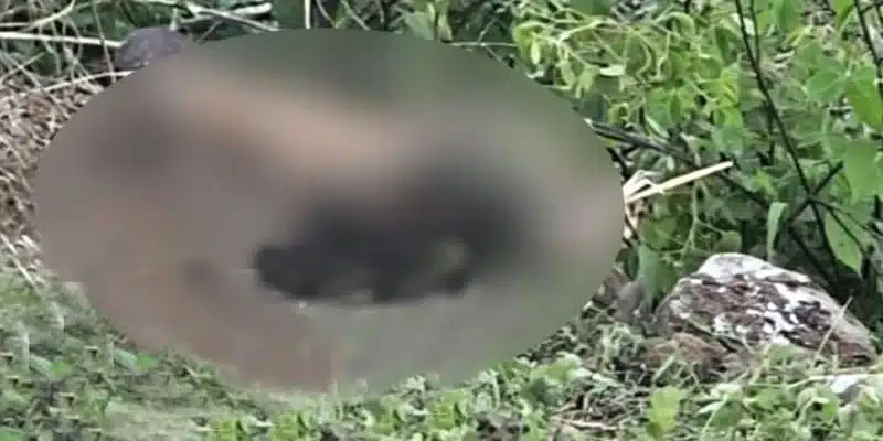 Encuentran osamenta humana en cerro la Bujona