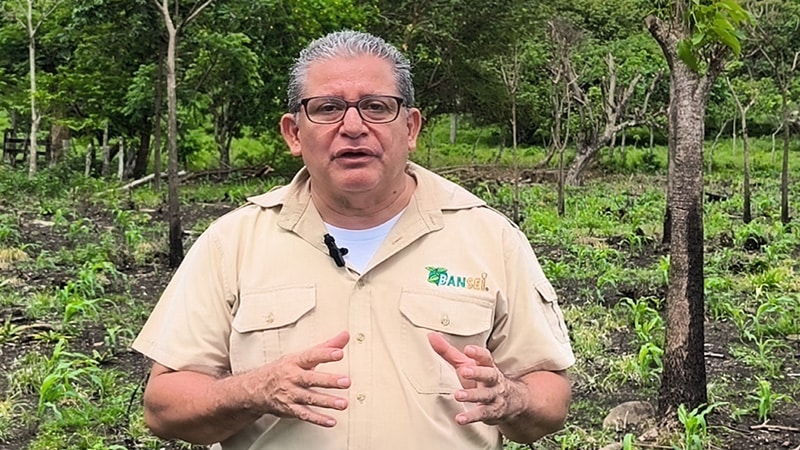 Ingeniero Orlando Benito Carvajal, gerente de Bansei.