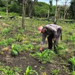 Agricultores tienen buenas expectativas del ciclo productivo 2025