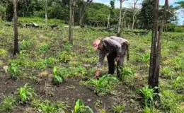 Agricultores tienen buenas expectativas del ciclo productivo 2025